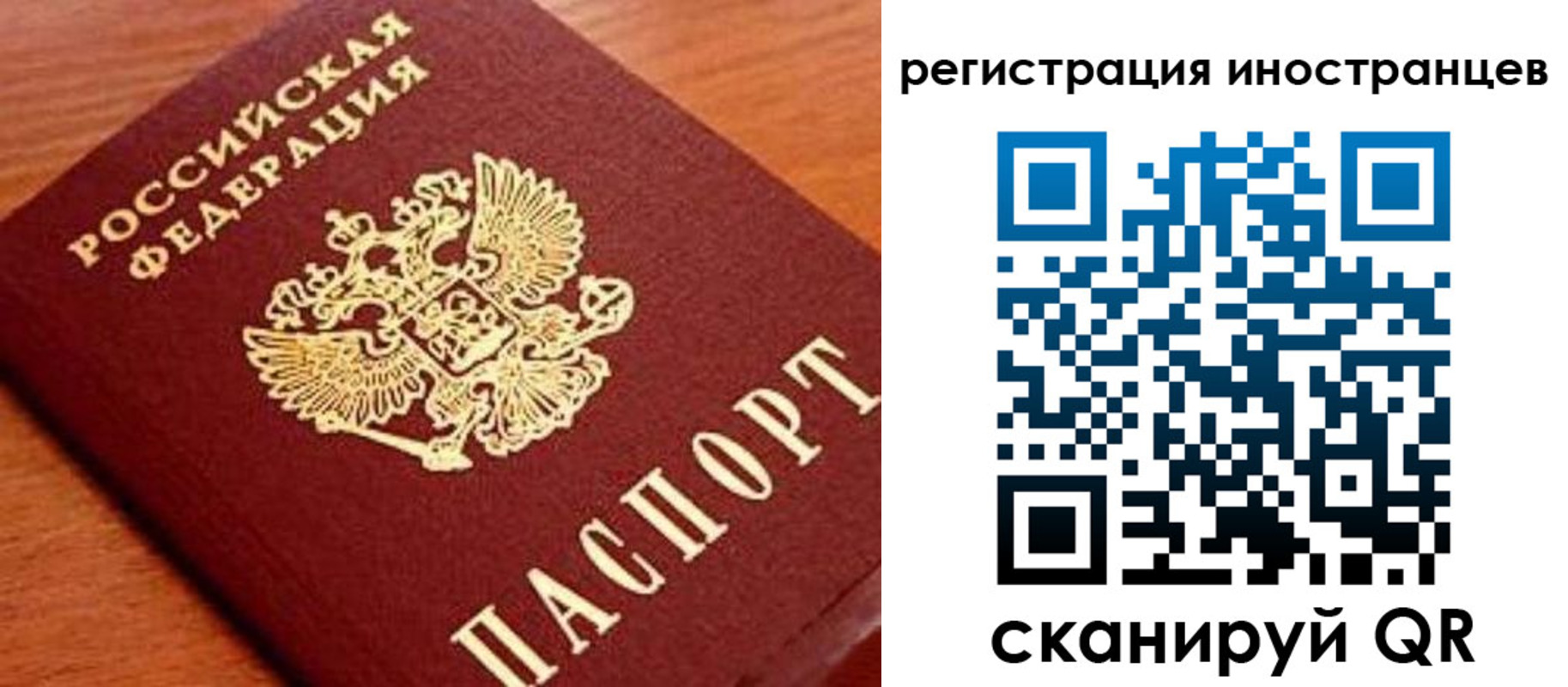 временная регистрация поиск в Ивантеевке